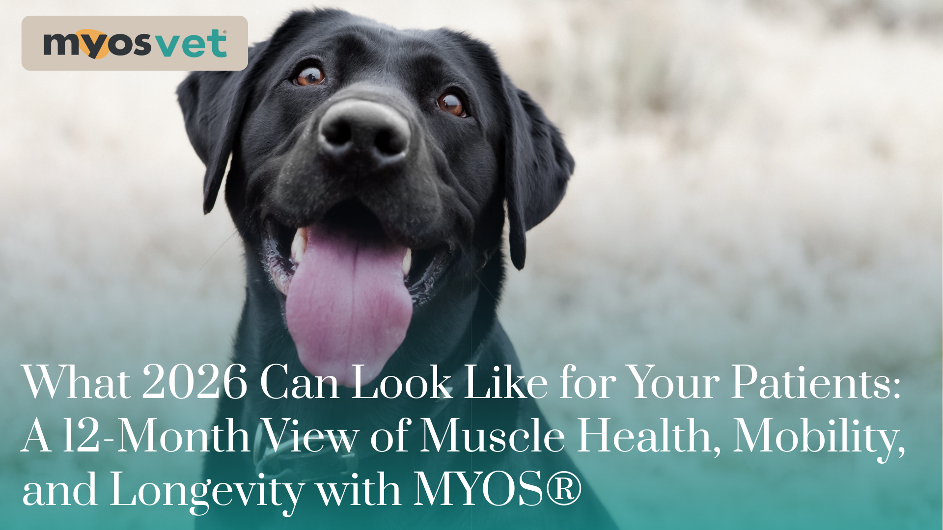 What 2026 Can Look Like for Your Patients: A 12-Month View of Muscle Health, Mobility, and Longevity with MYOS®