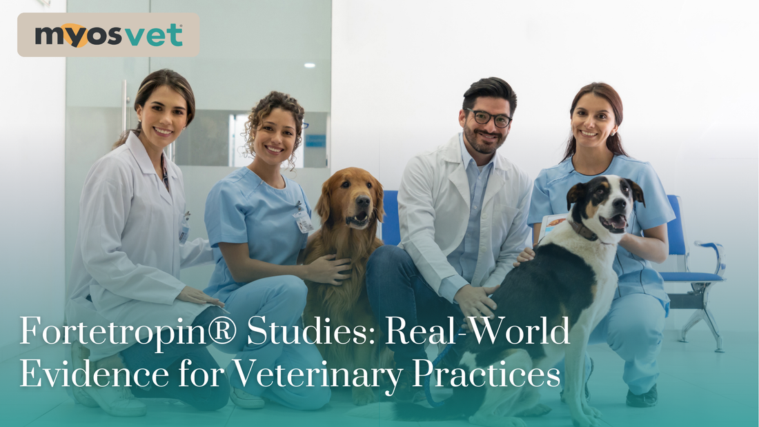 Fortetropin® Studies: Real-World Evidence for Veterinary Practices