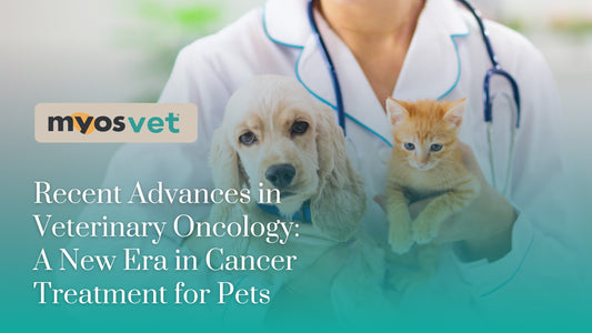 Recent Advances in Veterinary Oncology: A New Era in Cancer Treatment for Pets