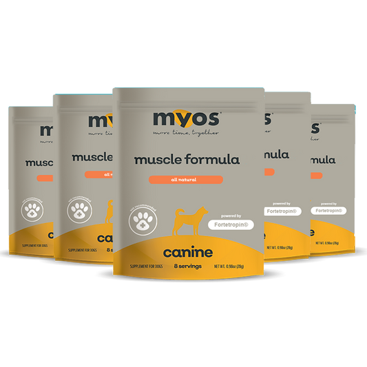 MYOS Canine Muscle Formula Samples
