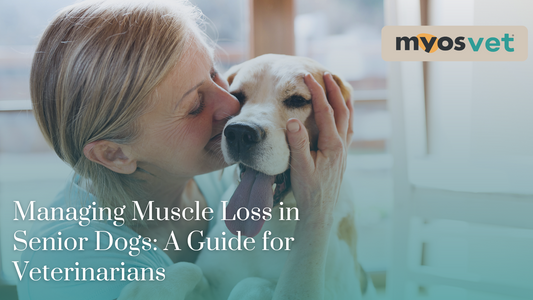 Managing Muscle Loss in Senior Dogs: A Guide for Veterinarians