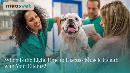 When Is the Right Time to Discuss Muscle Health with Your Clients?