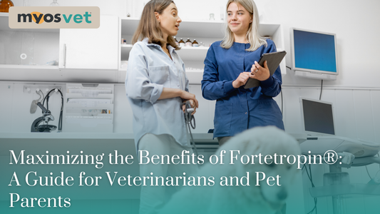 Maximizing the Benefits of Fortetropin®: A Guide for Veterinarians and Pet Parents