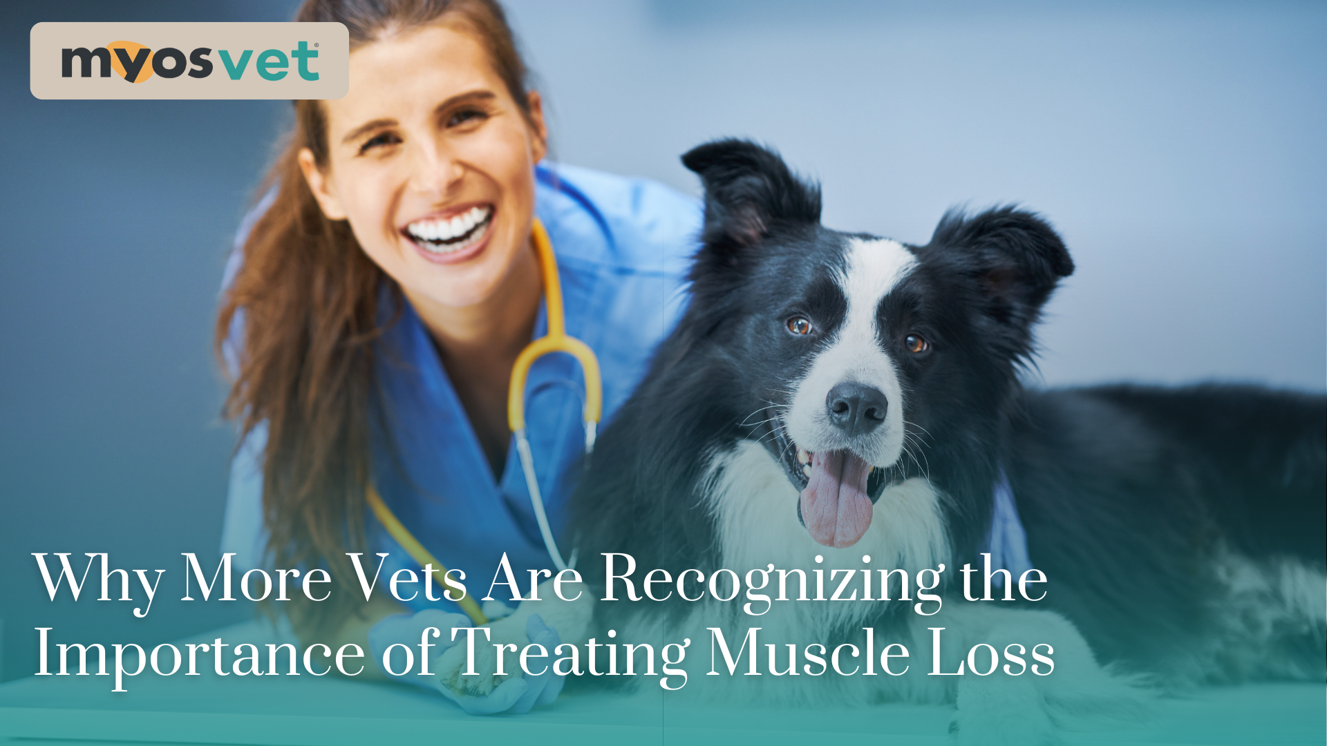 Why More Vets Are Recognizing the Importance of Treating Muscle Loss