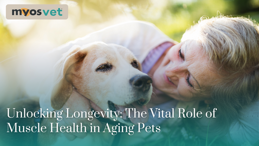 Unlocking Longevity: The Vital Role of Muscle Health in Aging Pets
