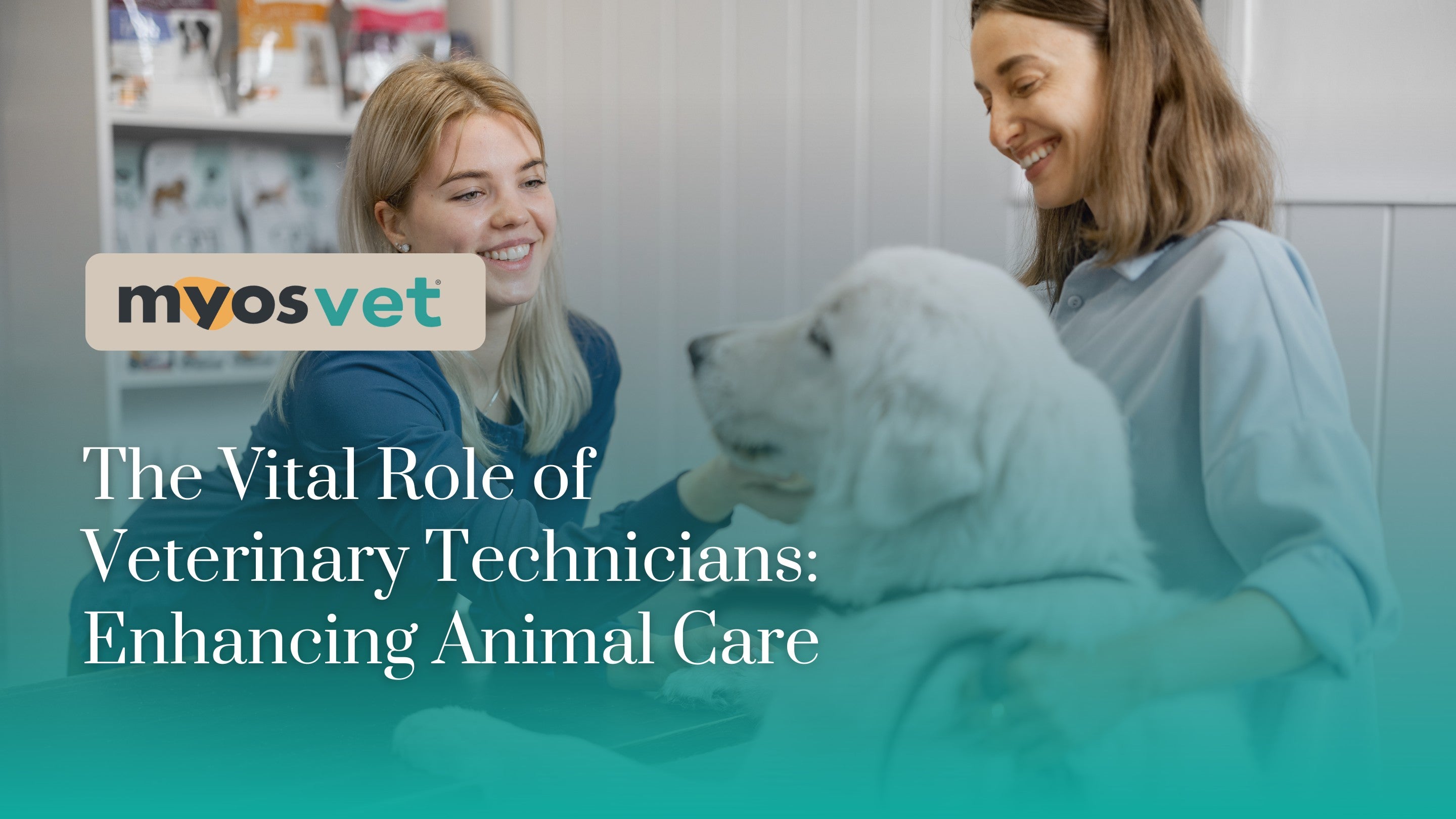 Veterinary Blog The Vital Role of Veterinary Technicians: Enhancing Animal Care – Myos Vet