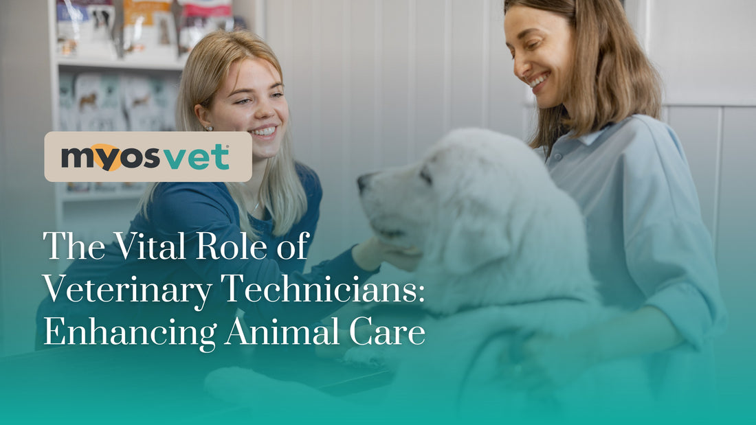 The Vital Role of Veterinary Technicians: Enhancing Animal Care