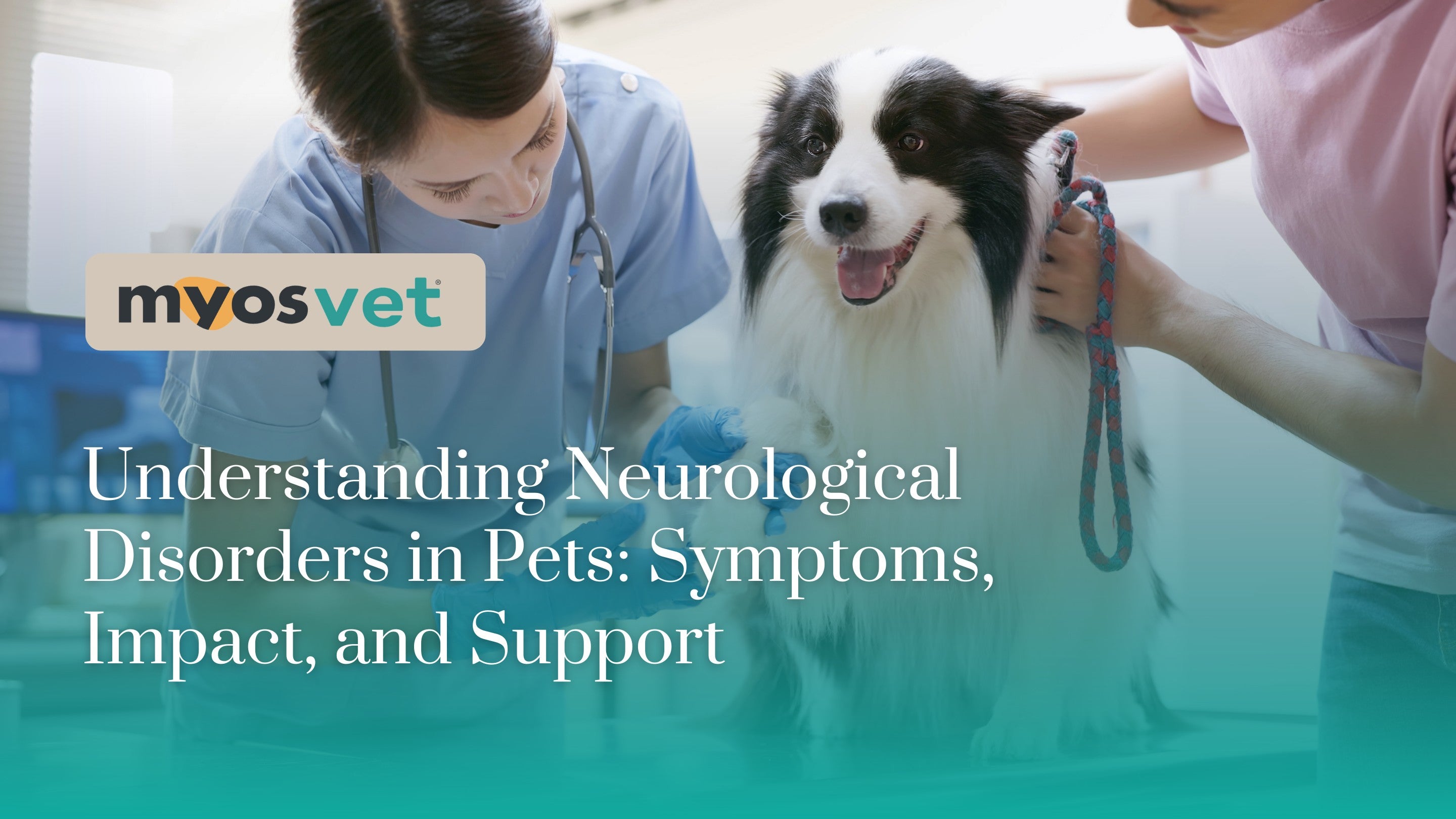 Understanding Neurological Disorders in Pets: Symptoms, Impact, and Su ...