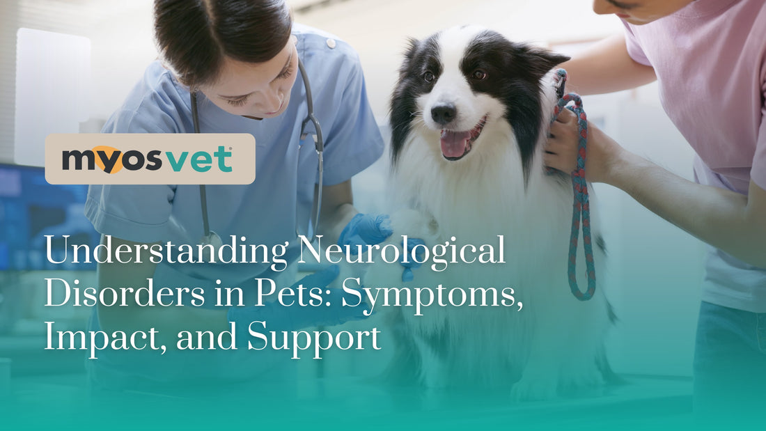 Understanding Neurological Disorders in Pets: Symptoms, Impact, and Support