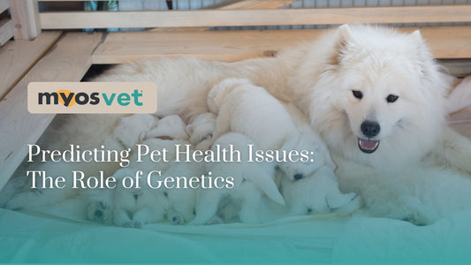 Predicting Pet Health Issues: The Role of Genetics