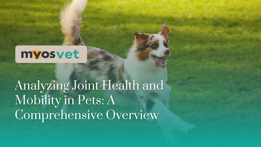 Analyzing Joint Health and Mobility in Pets: A Comprehensive Overview