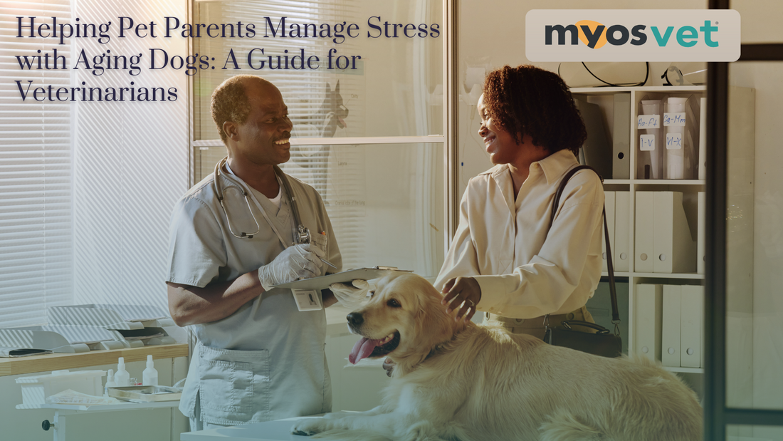 Helping Pet Parents Manage Stress with Aging Dogs: A Guide for Veterinarians