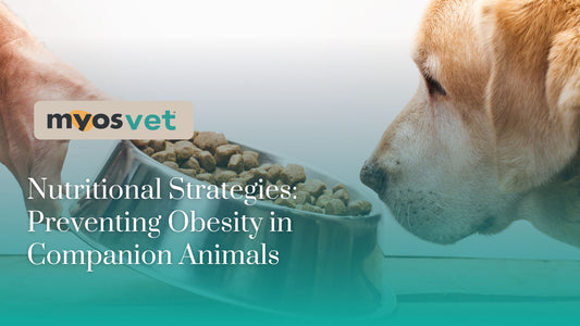 Nutritional Strategies: Preventing Obesity in Companion Animals
