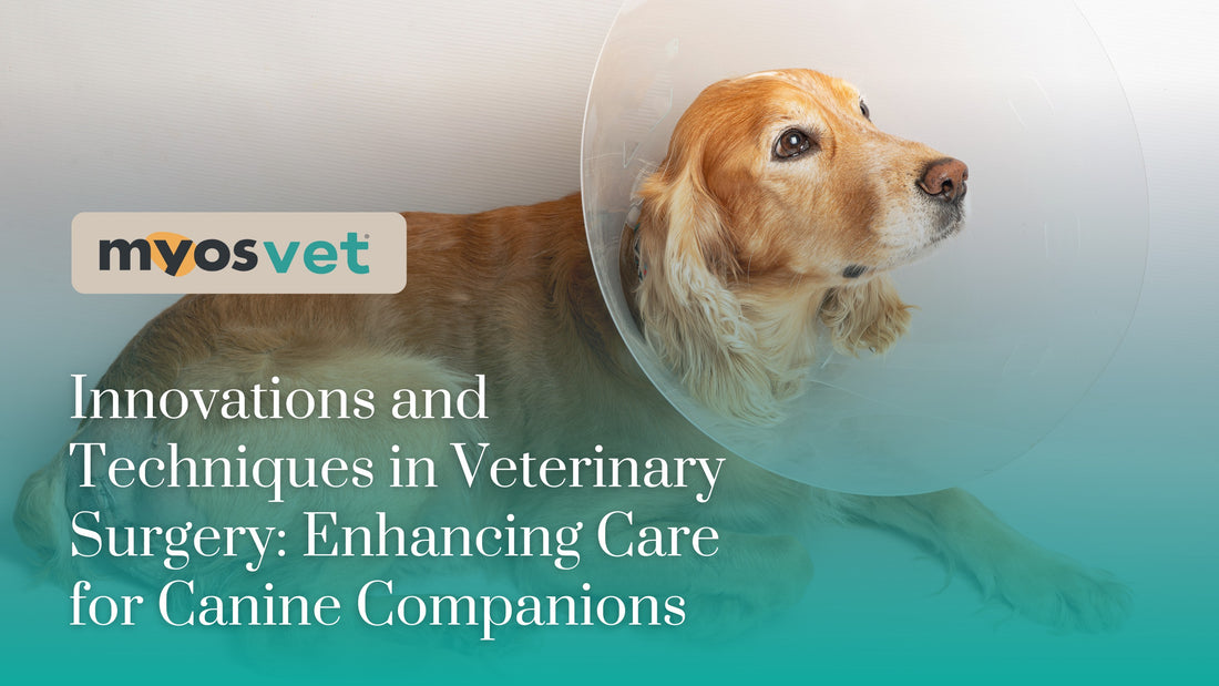 Innovations and Techniques in Veterinary Surgery: Enhancing Care for Canine Companions