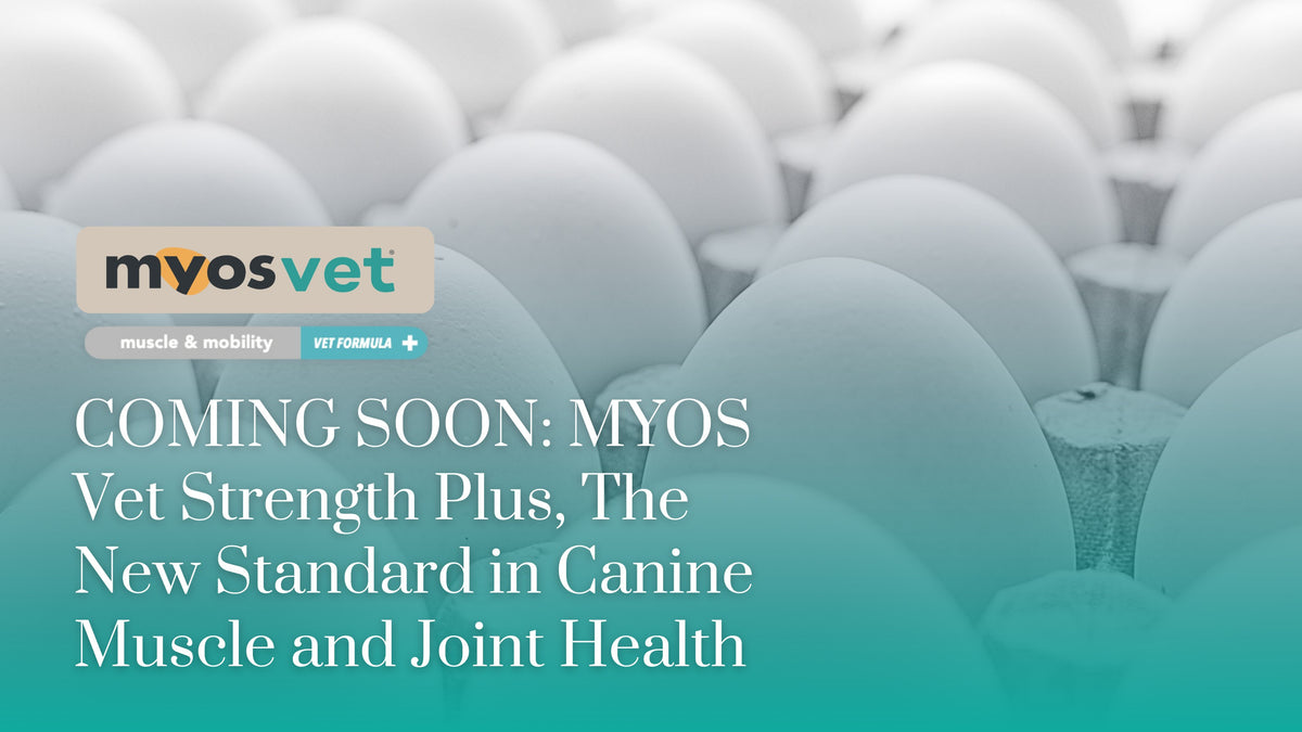 COMING SOON: MYOS Vet Strength Plus, The New Standard in Canine Muscle ...