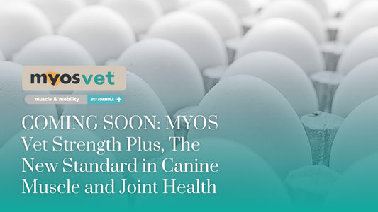 COMING SOON: MYOS Vet Strength Plus, The New Standard in Canine Muscle and Joint Health