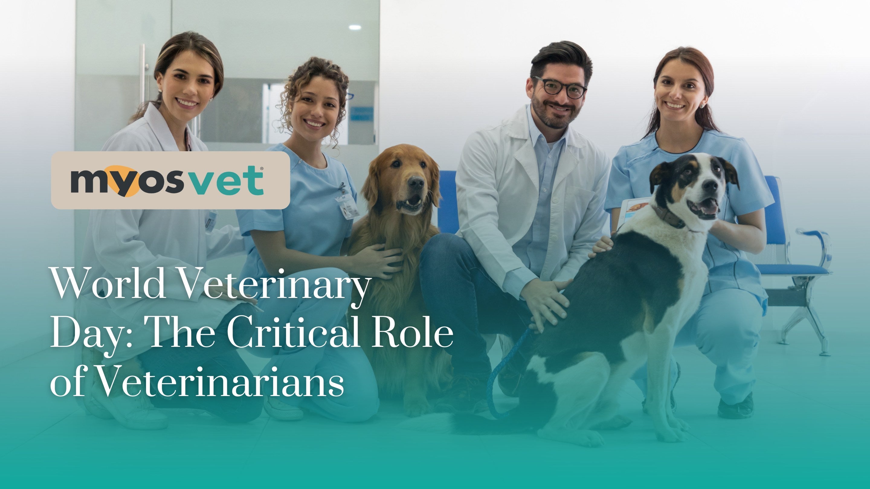 Veterinary Blog World Veterinary Day: The Critical Role of Veterinarians – Myos Vet