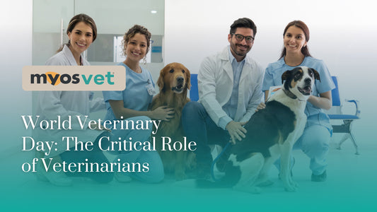 World Veterinary Day: The Critical Role of Veterinarians