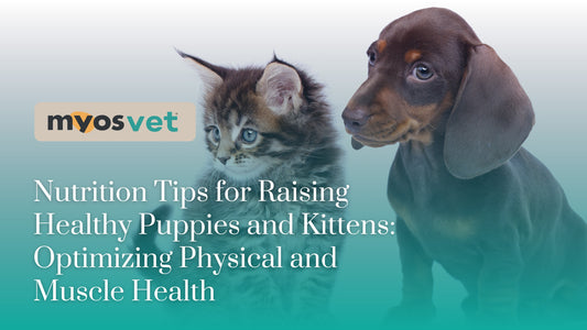 Nutrition Tips for Raising Healthy Puppies and Kittens: Optimizing Physical and Muscle Health