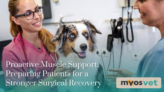 Proactive Muscle Support: Preparing Patients for a Stronger Surgical Recovery