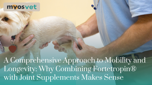 A Comprehensive Approach to Mobility and Longevity: Why Combining Fortetropin® with Joint Supplements Makes Sense