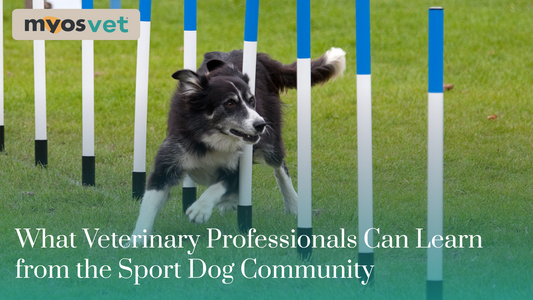 What Veterinary Professionals Can Learn from the Sport Dog Communi