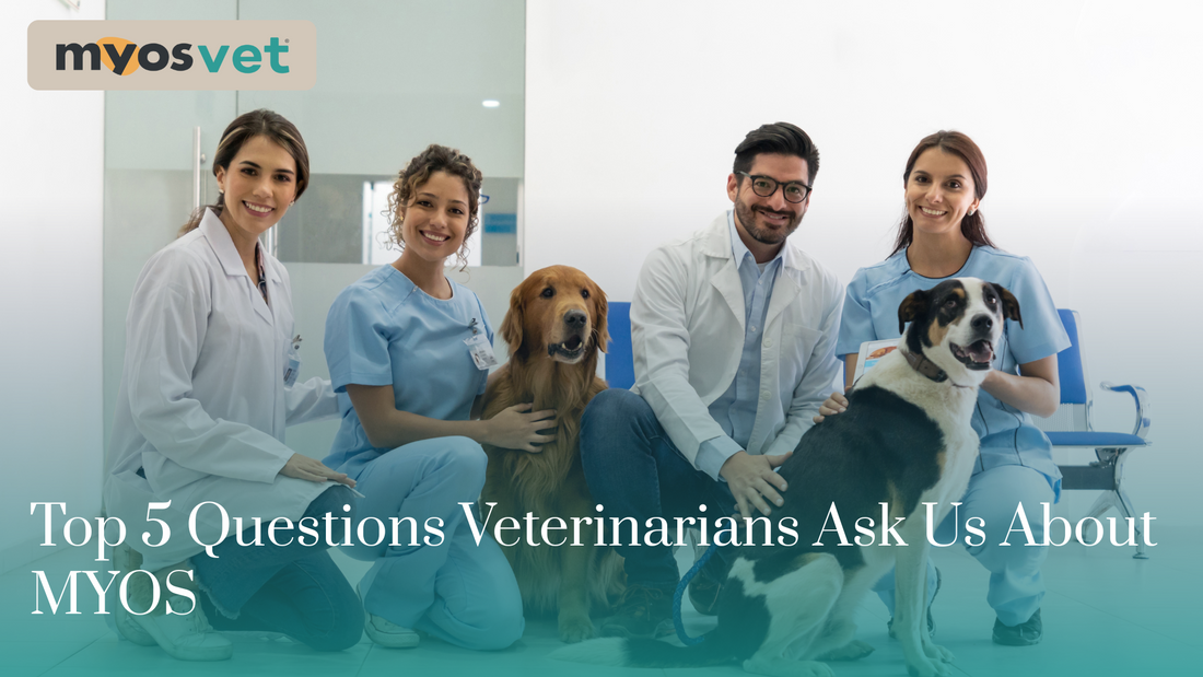 Top 5 Questions Veterinarians Ask Us About MYOS