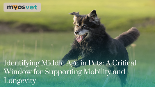Identifying Middle Age in Pets: A Critical Window for Supporting Mobility and Longevity