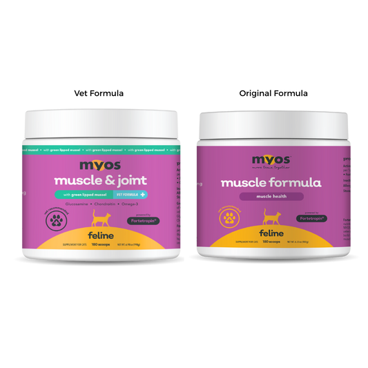 Feline Muscle Formula