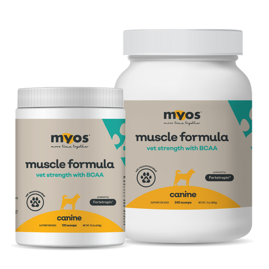 Canine Vet Strength Muscle Formula