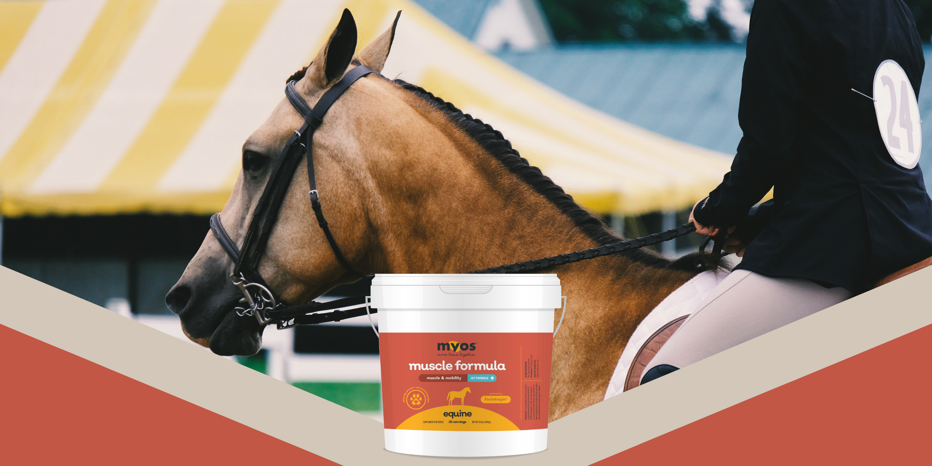 horse showing MYOS Equine Muscle Formula