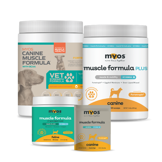 Starter Kit Variety Bundle