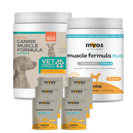 Starter Kit Bundle Canine Essentials