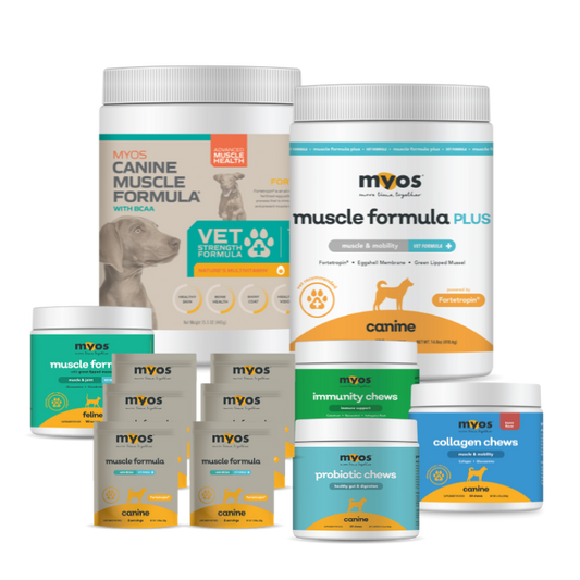 Starter Kit Premium Bundle