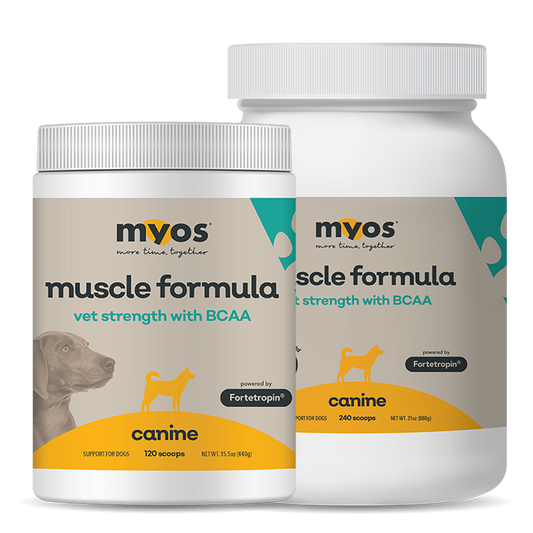 Canine Vet Strength Muscle Formula