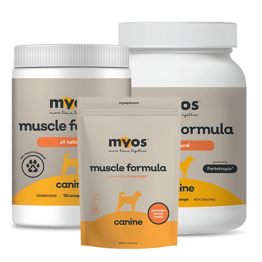Canine Muscle Formula