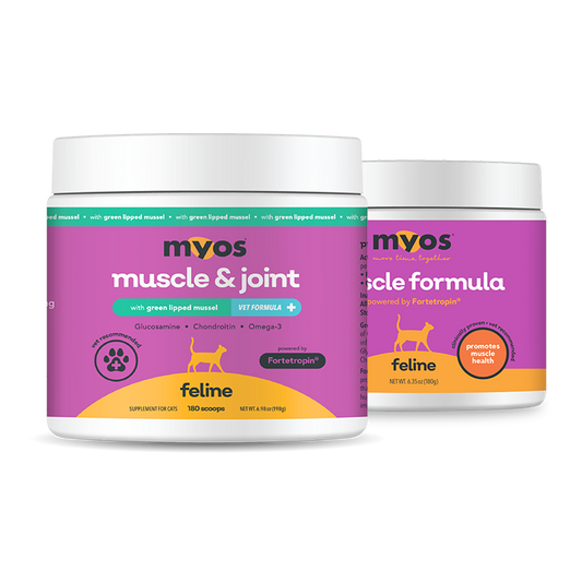Feline Muscle Formula