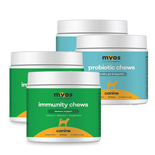 Canine Gut & Immunity Chews Bundle