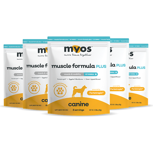 Canine Muscle Formula PLUS Egg Shell Membrane 6 Pack Samples