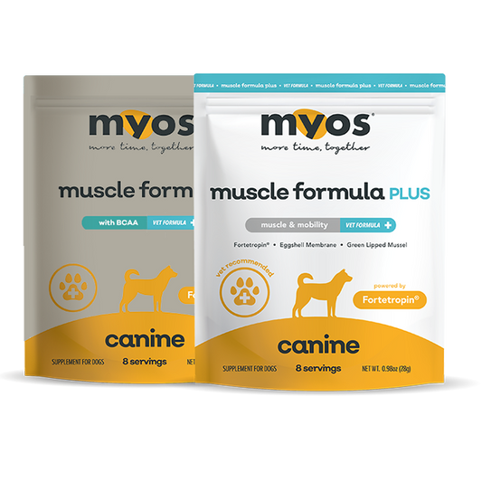 Canine Samples