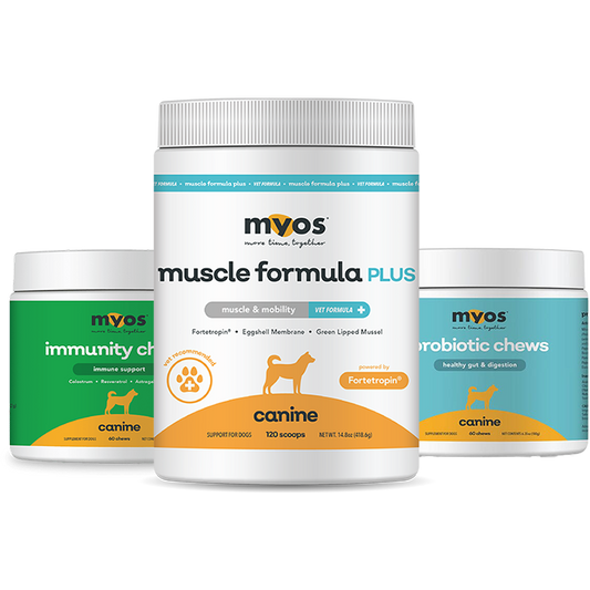 Muscle, Gut, & Immunity Canine Bundle