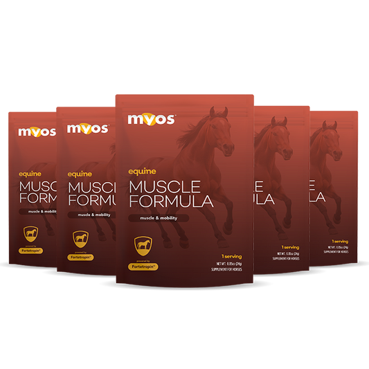 Equine Muscle Formula 6 Pack Samples