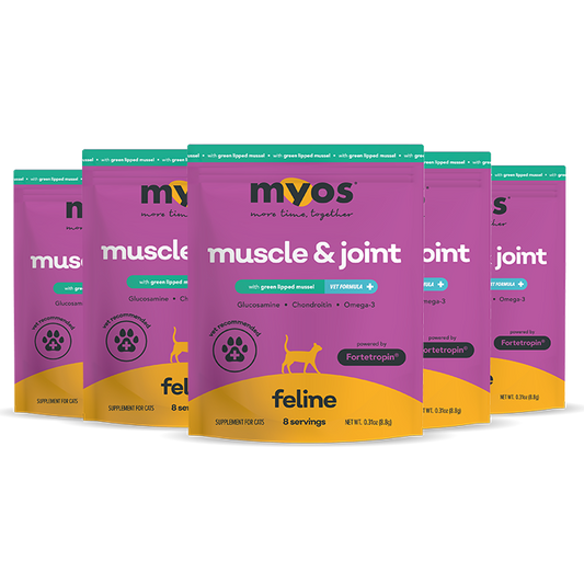 Feline Muscle Formula Vet Strength Samples